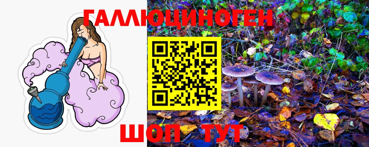 Псилоцибиновые грибы прущие грибы Туймазы
