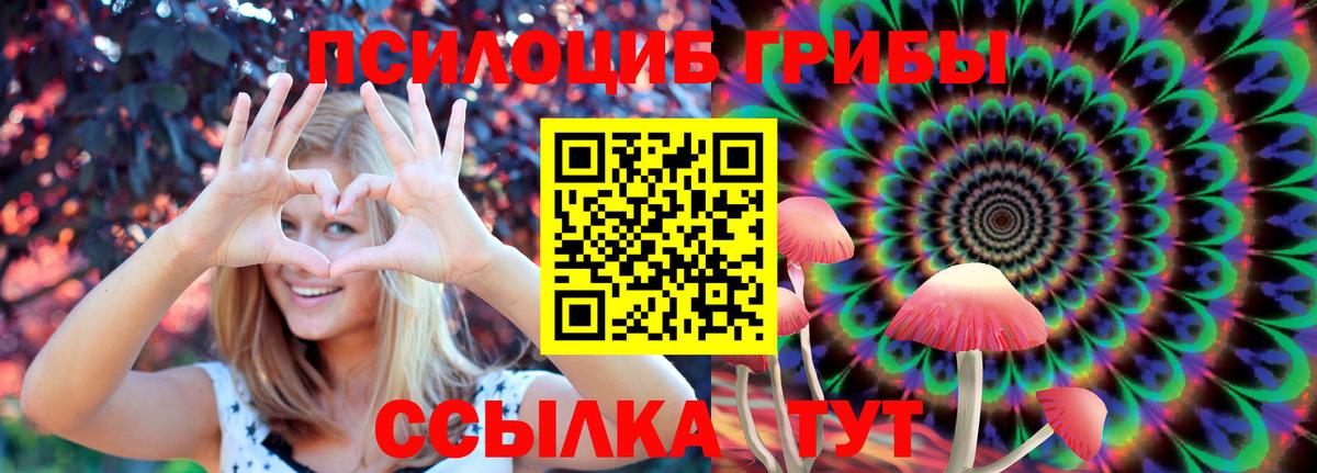 Псилоцибиновые грибы Psilocybine cubensis  Вход с VPN  Туймазы 